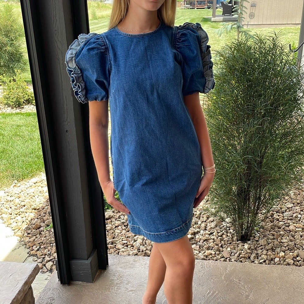 Ulla Johnson Poppy Ruffled Denim Mini Dress NWT